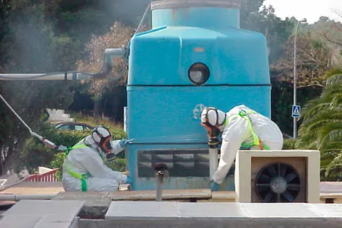 AJN Plagas Menorca fumigación