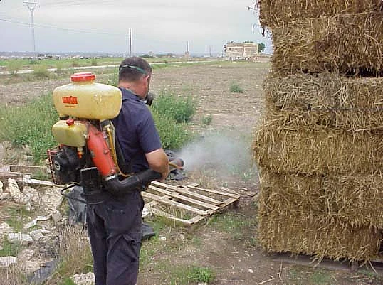 AJN Plagas Menorca servicios de control de plagas 6