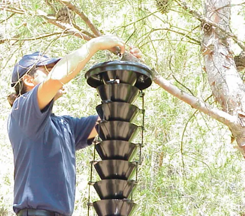 AJN Plagas Menorca hombre instalando trampa