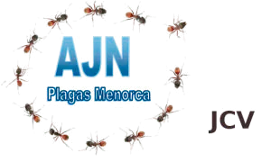 AJN Plagas Menorca logo